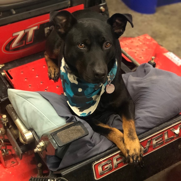 Meet your Posher, Natalie - Picture 5 of 13